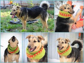 ��������, ������� ������� � ���, � ������ ����