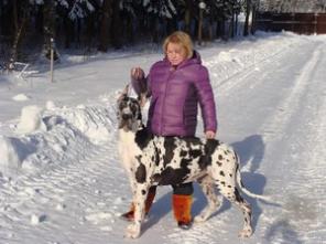 ����� ��������� ����