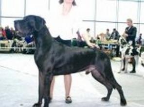 ����� ��������� ����