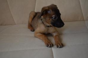 ����� �������� ������� ���� ������ ������!