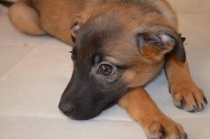 ����� �������� ������� ���� ������ ������!