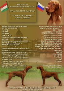 ����� ���������� �����