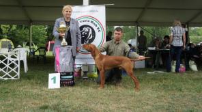 ����� ���������� �����