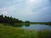 Дачный участок земли,одинадцать соток электричество,дорога