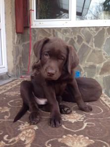 ������������ ����� ���������