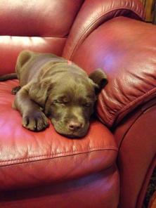 ������������ ����� ���������