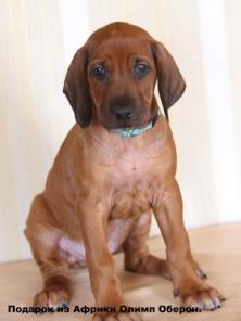 ��������� ����� ������������ ��������