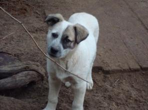 ����� ����� � ������ ����