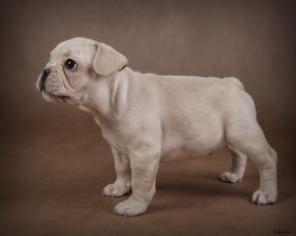 ����� ������������ ��������