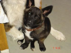 ����� �����