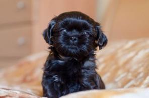 ��������� ����� ��-���, ��������� 07.03.14 �.