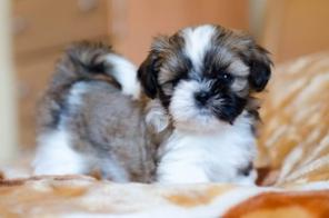 ��������� ����� ��-���, ��������� 07.03.14 �.