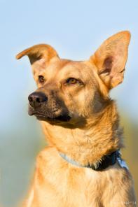 ������������� ������� ��������� ��� � ���.