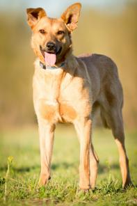 ������������� ������� ��������� ��� � ���.