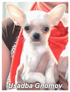 �������� �����