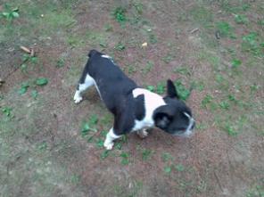 ������� ������.