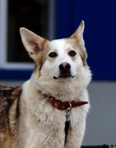 ������� ���������-����� � ������ ����