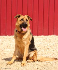 ����������� ������� ���� ������ �������.