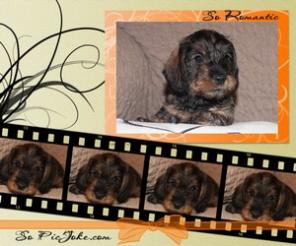 ����� ����� ��������� ��������������