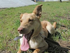 ��������� ������� ���������-������ ������, �������� � ������ ���� � ���