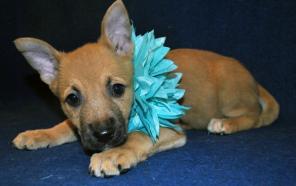 ����� ����� ���� ���������� ���������.