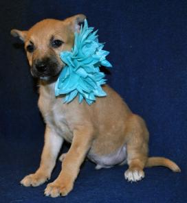 ����� ����� ���� ���������� ���������.