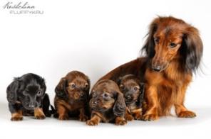 ��������� ����� ����� ��������� ��������������