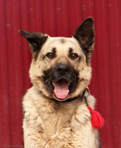 ������ ������������������� ������� ���� ���.