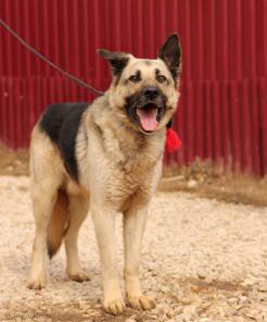 ������ ������������������� ������� ���� ���.