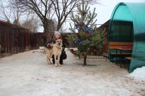 ���������� ��������� ��� �����