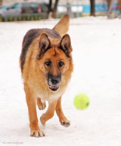 ���������� ������� ���� ���