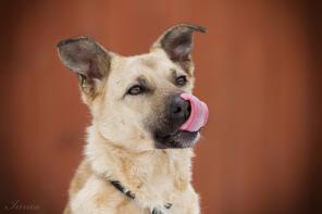 ���� ������ ���� �����, ������, ��������� � ����������� ������ �����!