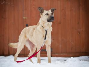 ���� ������ ���� �����, ������, ��������� � ����������� ������ �����!