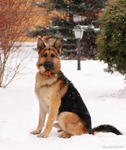 �������� ������ ������� ������ ���� ��� � �������