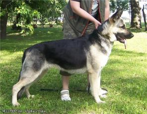 ����� ������������������� �������