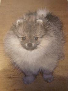 ��������� ����� ������������ ������������ �����