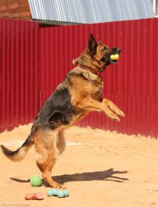 �������� ������� ���� ������� � ���.