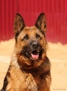 �������� ������� ���� ������� � ���.