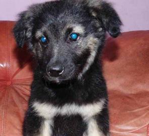 ����� � ��� ������� ���������� �����.