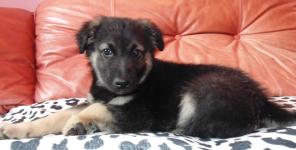 ����� � ��� ������� ���������� �����.