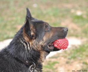 ������, �������� ��� � ������� ����.