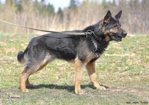 ������, �������� ��� � ������� ����.