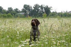 ����� ��������� �� ������� ���������.