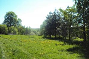 ������� 61 �� � 45 ��� �� ���� �.��������� �.�����