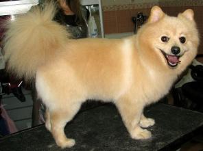 ������� ����� � �����, ����� �� ������ � ��