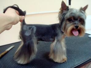 ������� ����� � �����, ����� �� ������ � ��