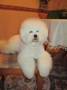 ������� ������ ������ ����� �����!