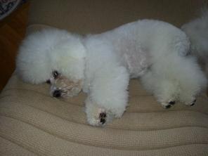 ������� ������ ������ ����� �����!