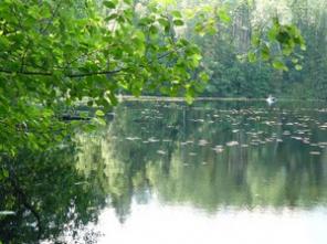 ��������� ������� ����� ��� ���