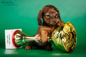 ��������� ����� ����� ��������� ��������������